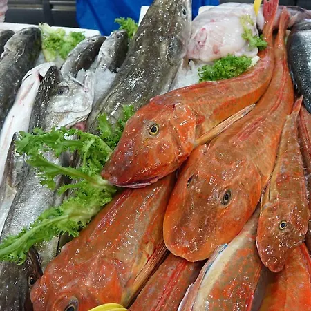 Iskra 2 Apartman Split