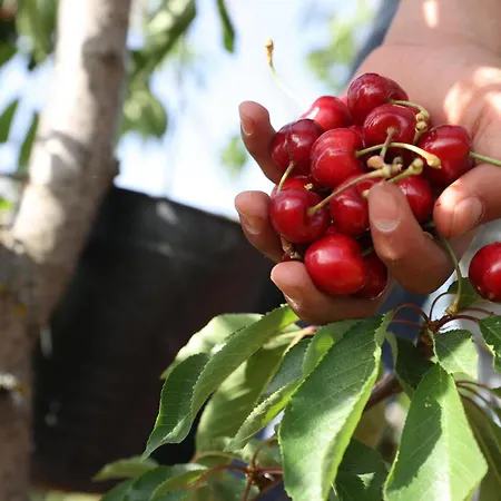 Iskra 2 Apartmán Split